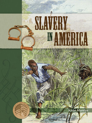 cover image of Slavery in America